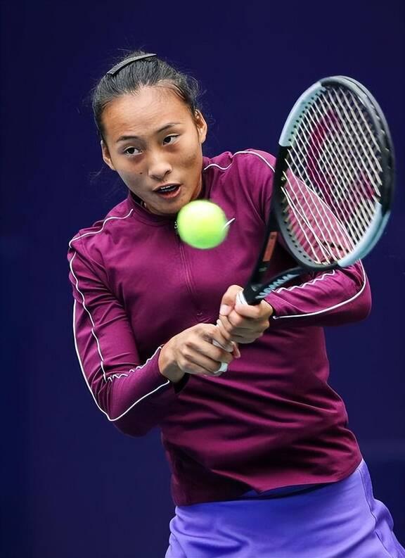 他与菲尼克 他与菲尼克